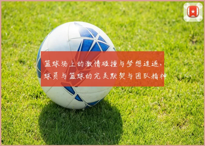 篮球场上的激情碰撞与梦想追逐，球员与篮球的完美默契与团队精神